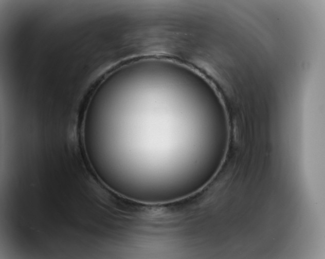 X0000089891452200707121822