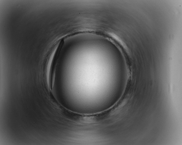 X0000089891453200707121822