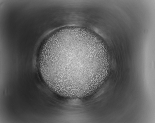 X0000089891454200707121822