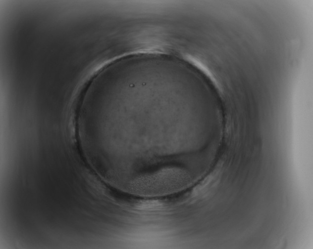 X0000089891455200707121822