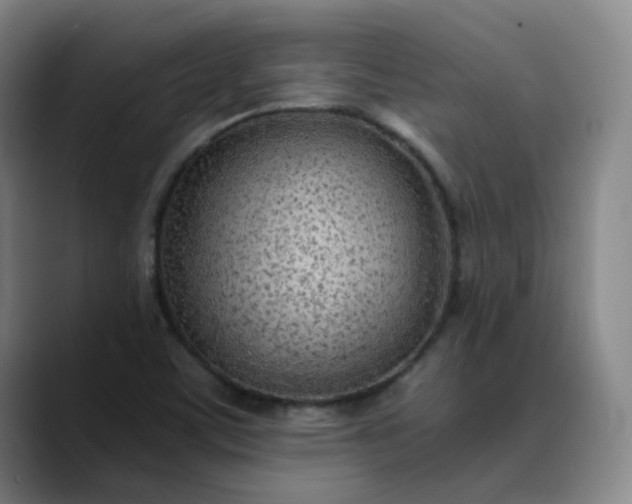 X0000089891459200707121822