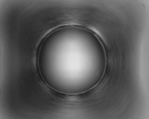 X0000089891460200707121822