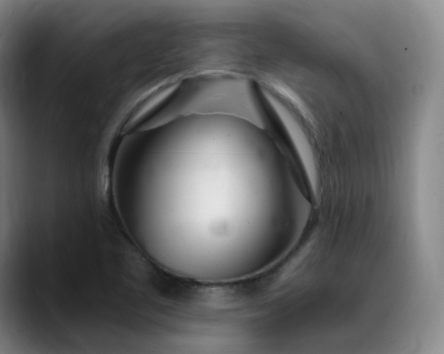 X0000089891461200707121822