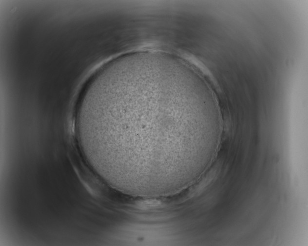 X0000089891462200707121822