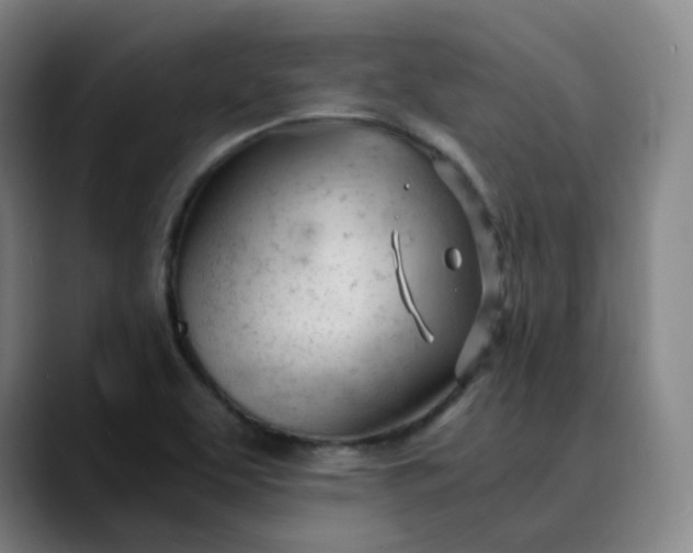 X0000089891463200707121822