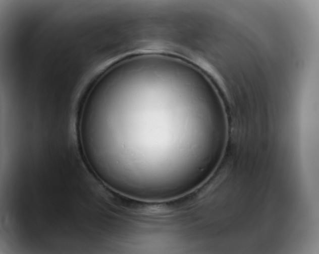 X0000089891464200707121822