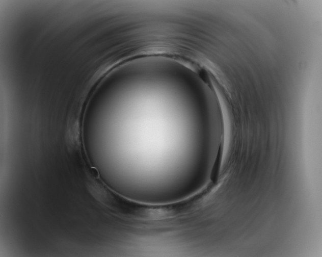 X0000089891465200707121822