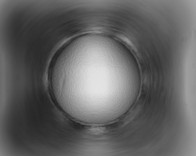 X0000089891466200707121822