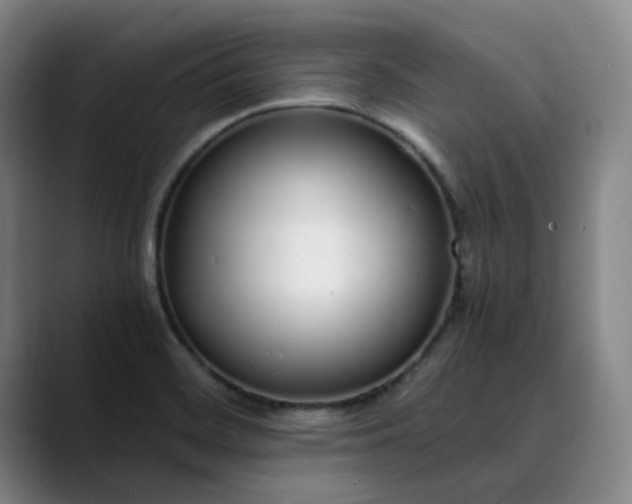 X0000089891468200707121822