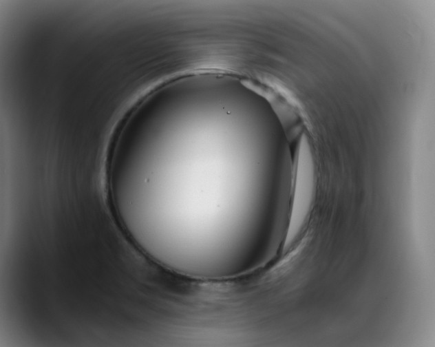 X0000089891469200707121822