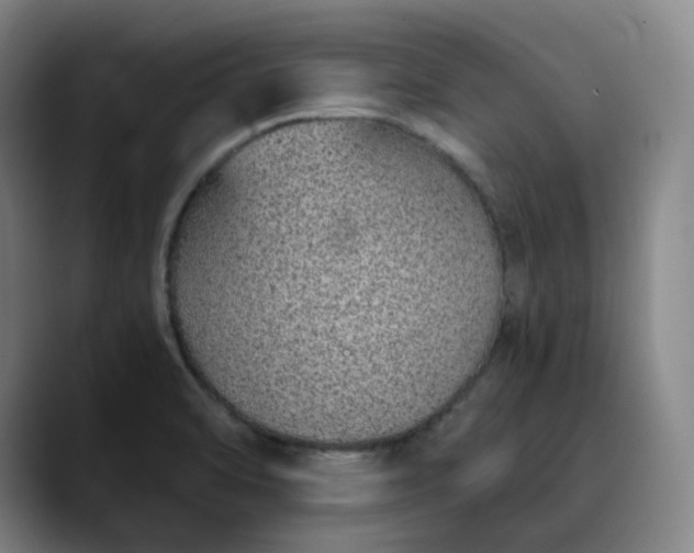 X0000089891470200707121822