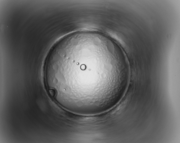 X0000089891471200707121822