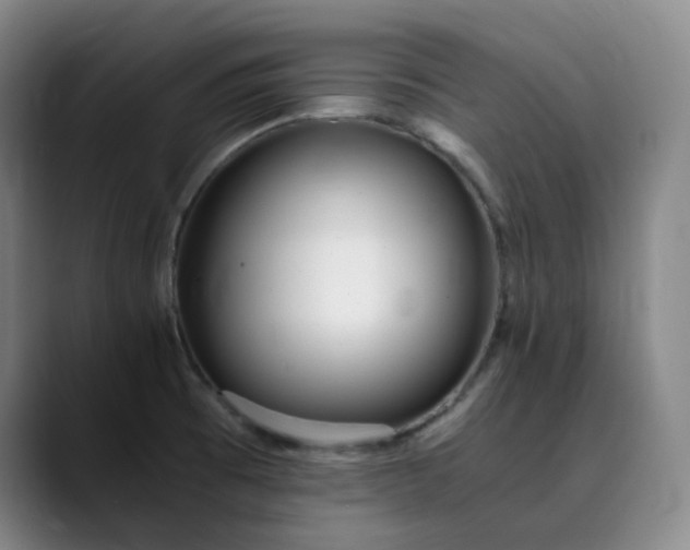 X0000089891473200707121822