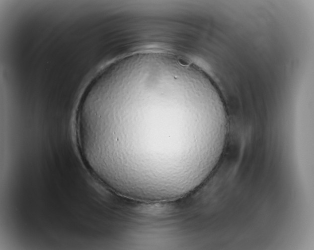 X0000089891474200707121822