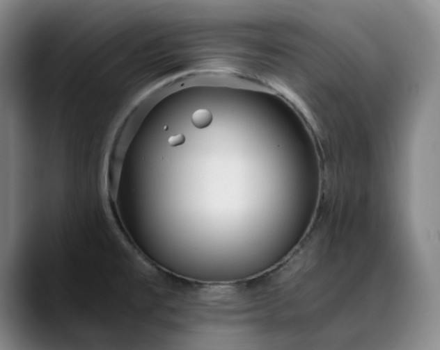 X0000089891477200707121822