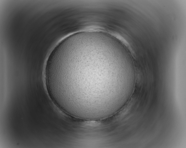 X0000089891478200707121822