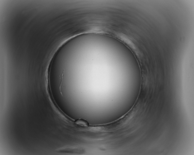 X0000089891479200707121822