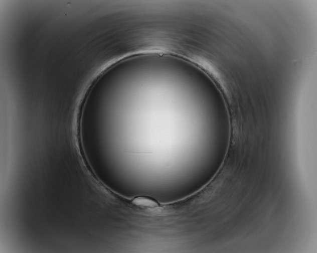 X0000089891480200707121822