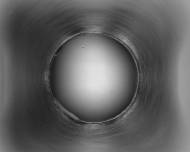 X0000089891481200707121822