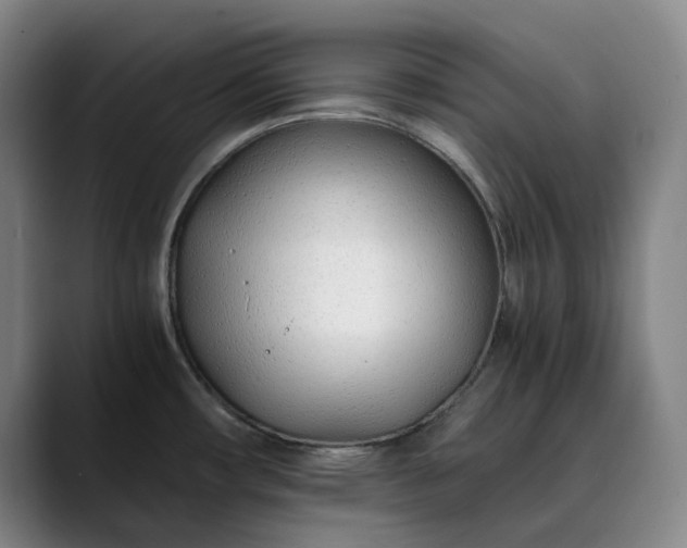 X0000089891482200707121822