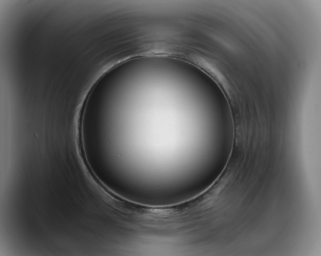 X0000089891483200707121822