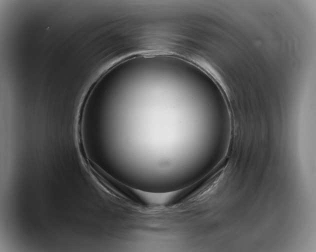 X0000089891485200707121822