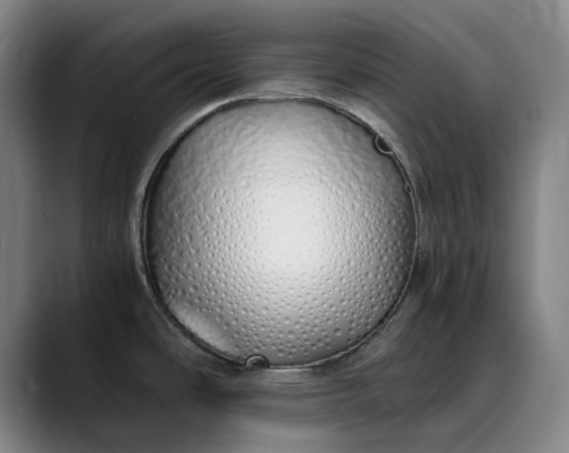 X0000089891486200707121822