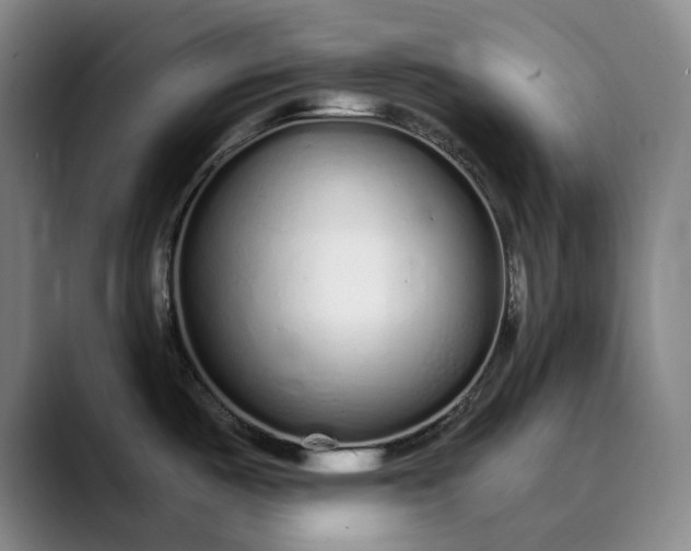 X0000089891487200707121822