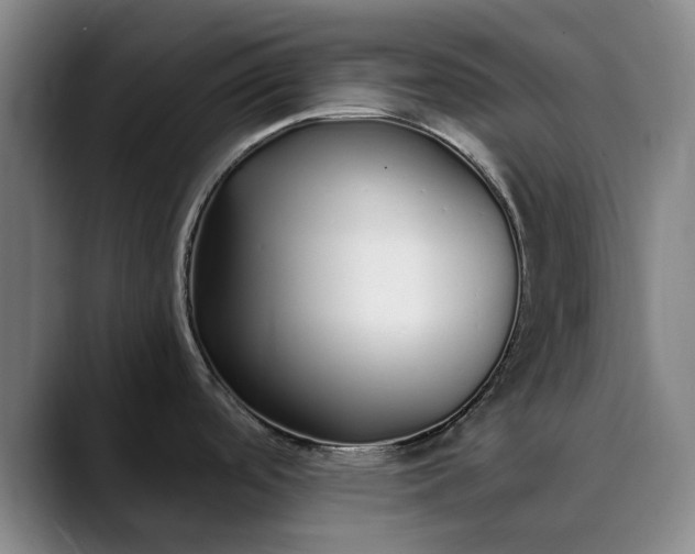 X0000089891488200707121822