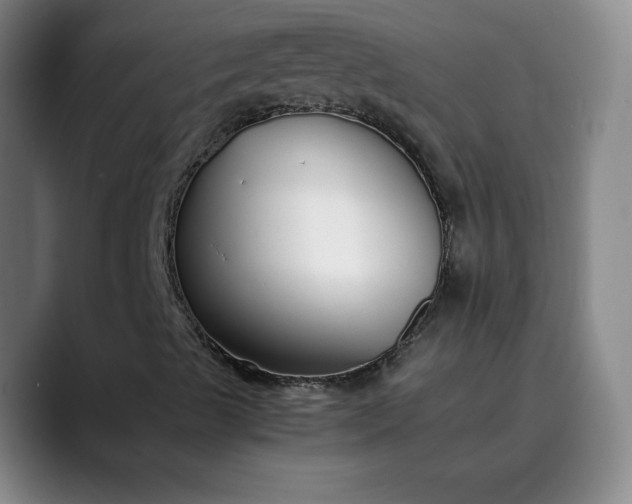 X0000089891489200707121821