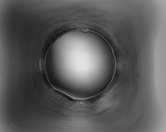 X0000089891490200707121821