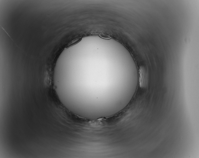 X0000089891491200707121821