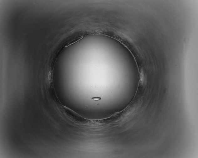 X0000089891492200707121821