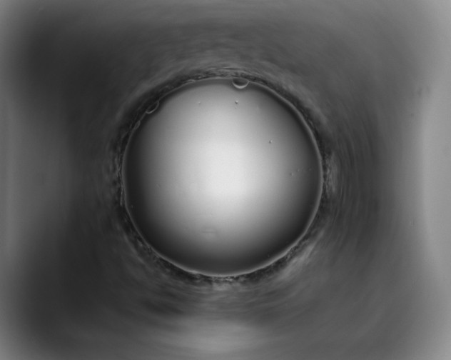 X0000089891494200707121821