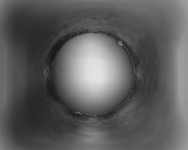 X0000089891495200707121821