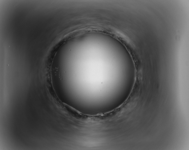 X0000089891496200707121821