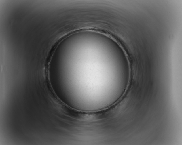 X0000089891497200707121821