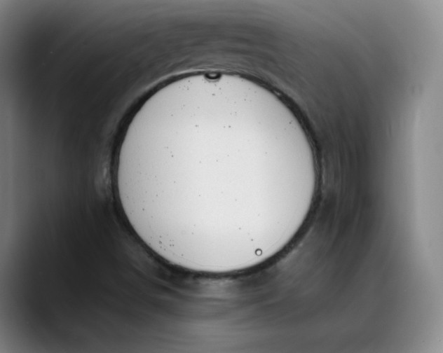 X0000089891498200707121821