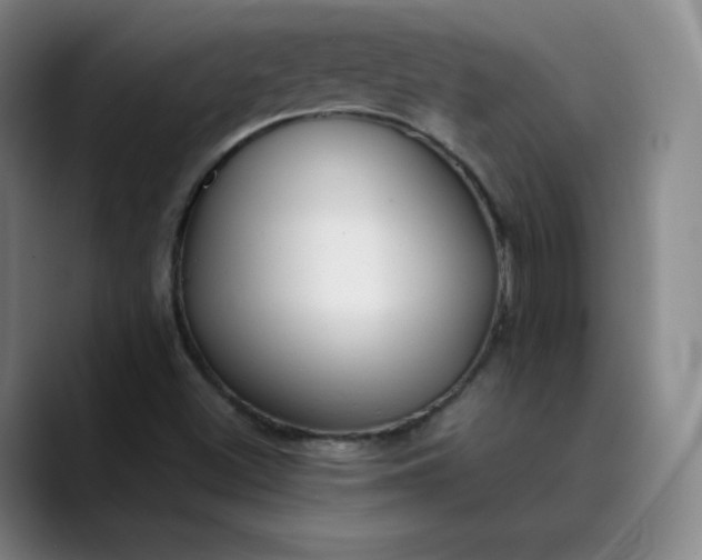 X0000089891500200707121821