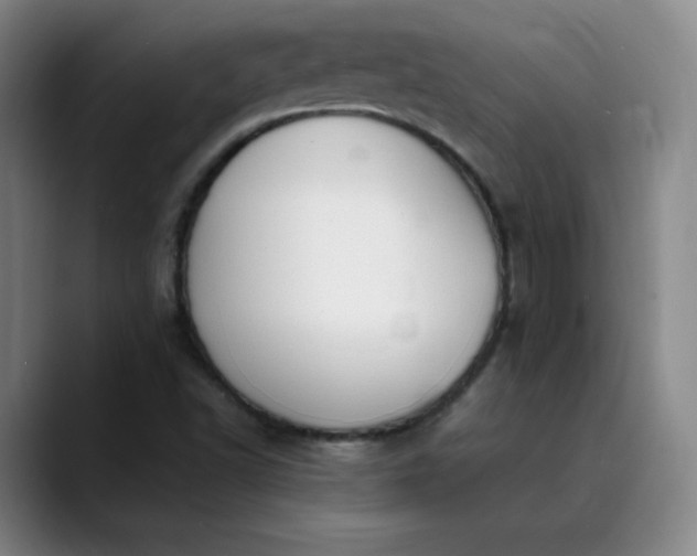 X0000089891502200707121821