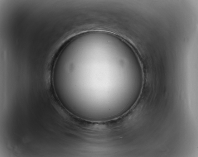 X0000089891503200707121821