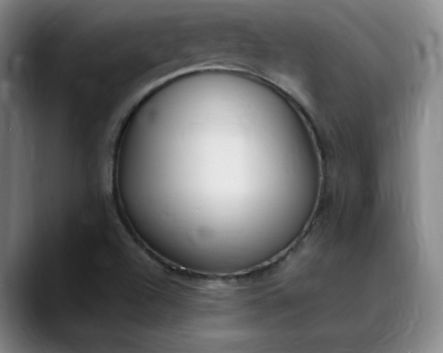 X0000089891504200707121821