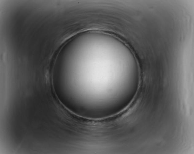 X0000089891505200707121821