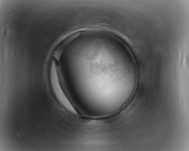 X0000089891506200707121821