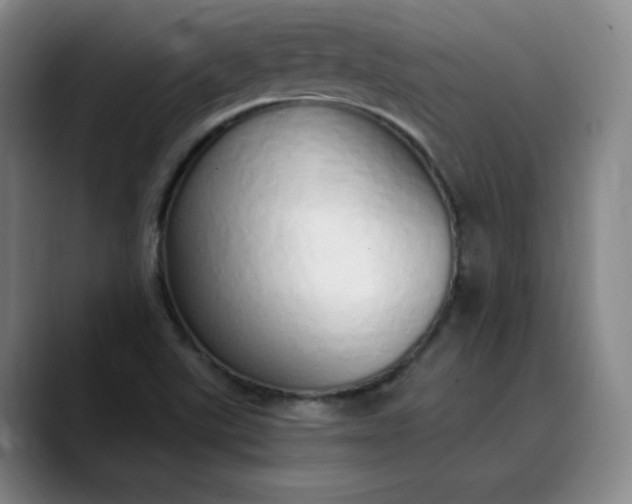 X0000089891507200707121821