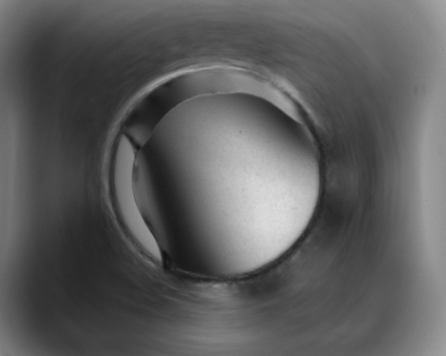 X0000089891508200707121821