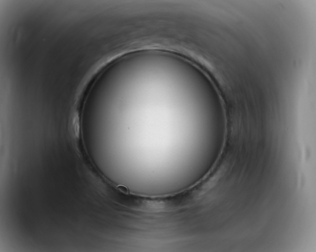 X0000089891509200707121821