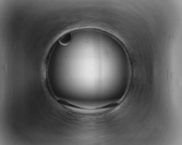 X0000089891510200707121821