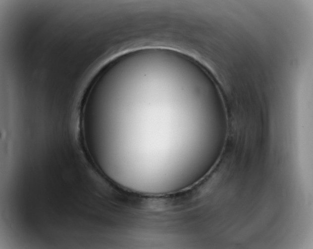 X0000089891511200707121821