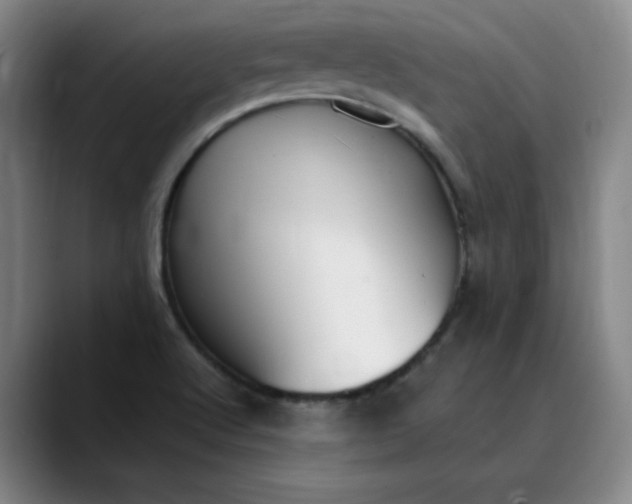 X0000089891512200707121821